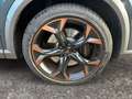 CUPRA Formentor VZ 4Drive 2.0 TSI DSG Panorama Full Link Navi Sitz Grau - thumbnail 21
