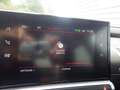 Citroen C4 Cactus BlueHDi 100 S&S BVM6 Feel Business - thumbnail 24