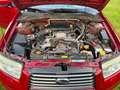 Subaru Forester Forester 2,0 X AWD X Rot - thumbnail 10