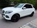 Mercedes-Benz GLE 350 d 4Matic/AMG/Designo-Diamant/SoftClose Bianco - thumbnail 2