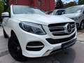 Mercedes-Benz GLE 350 d 4Matic/AMG/Designo-Diamant/SoftClose Bianco - thumbnail 3