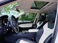 Mercedes-Benz GLE 350 d 4Matic/AMG/Designo-Diamant/SoftClose Bianco - thumbnail 13