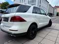 Mercedes-Benz GLE 350 d 4Matic/AMG/Designo-Diamant/SoftClose Bianco - thumbnail 7