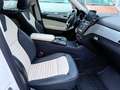Mercedes-Benz GLE 350 d 4Matic/AMG/Designo-Diamant/SoftClose Bianco - thumbnail 10
