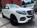 Mercedes-Benz GLE 350 d 4Matic/AMG/Designo-Diamant/SoftClose Bianco - thumbnail 4