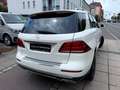 Mercedes-Benz GLE 350 d 4Matic/AMG/Designo-Diamant/SoftClose Bianco - thumbnail 8
