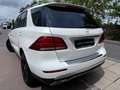 Mercedes-Benz GLE 350 d 4Matic/AMG/Designo-Diamant/SoftClose Bianco - thumbnail 5