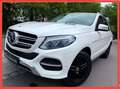 Mercedes-Benz GLE 350 d 4Matic/AMG/Designo-Diamant/SoftClose Bianco - thumbnail 1