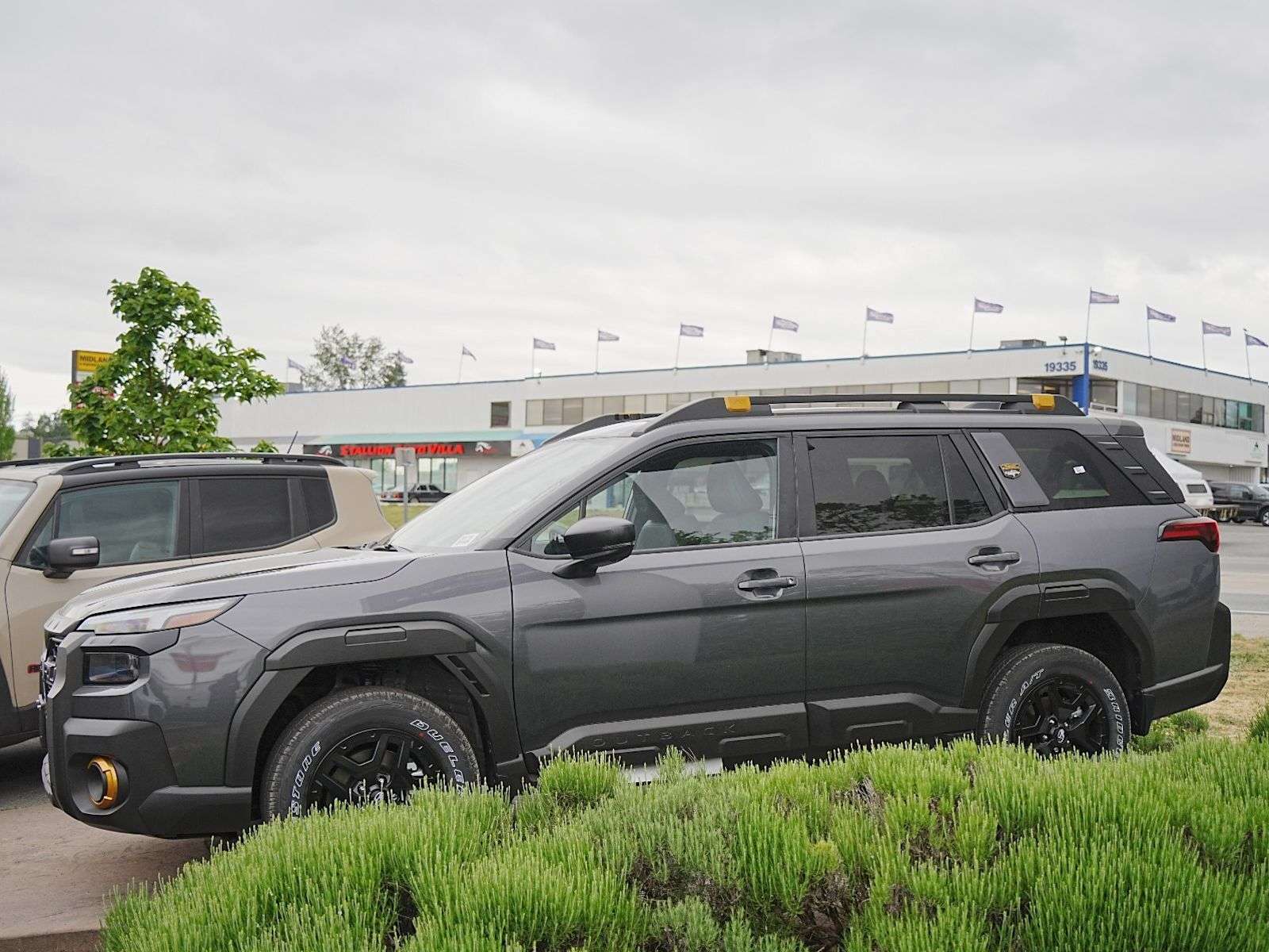 2026 Subaru Outback Wilderness — photo 1