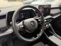 Skoda Kodiaq 2.0 TDI DSG 4x4 SELECTION *AHK *360° *MATRIX *ACC Grijs - thumbnail 9
