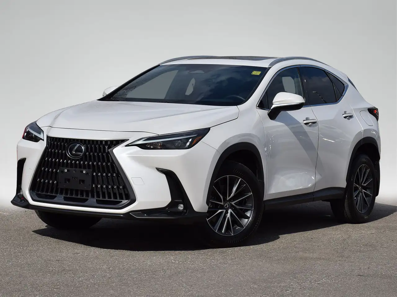 2025 Lexus NX photo 2025 Lexus NX