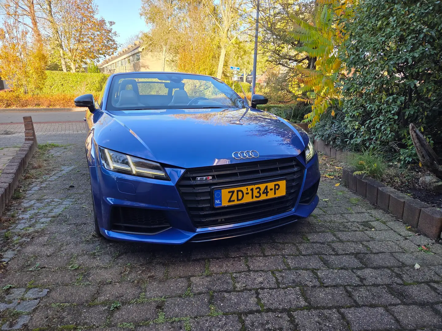 Audi TTS TTS 2.0 TFSI q PL+ Blauw - 1