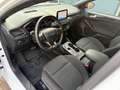Ford Focus Turnier 1,5 TDCI ST-Line HUD LED Kamera Blanc - thumbnail 8