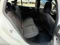 Ford Focus Turnier 1,5 TDCI ST-Line HUD LED Kamera Blanc - thumbnail 16