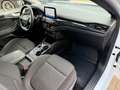 Ford Focus Turnier 1,5 TDCI ST-Line HUD LED Kamera Blanc - thumbnail 13