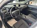 Lexus UX 250h Executive 4WD Blanc - thumbnail 22