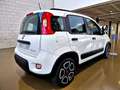 Fiat Panda 1.0 Gse Sport Hybrid Blanco - thumbnail 5