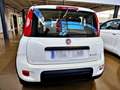 Fiat Panda 1.0 Gse Sport Hybrid Blanco - thumbnail 4