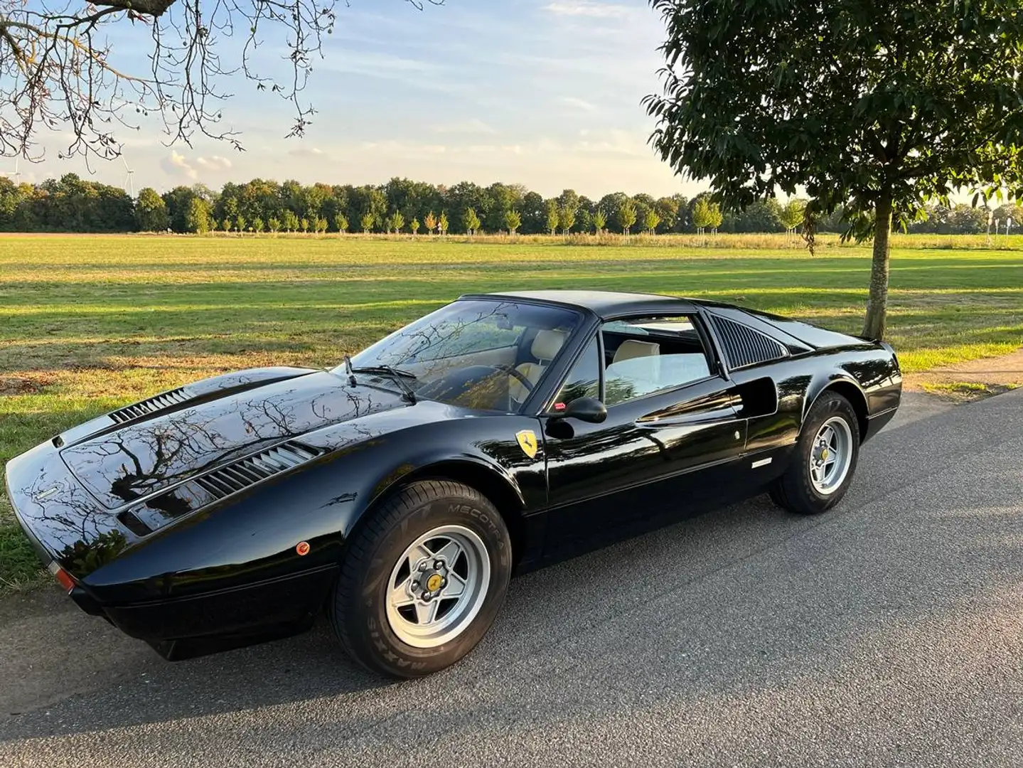 Ferrari 308 GTS Schwarz - 1