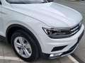 Volkswagen Tiguan Tiguan 2,0 TDI SCR 4Motion Comfortline Weiß - thumbnail 6
