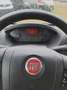 Fiat Ducato Trasporto disabili D24-90002 Bílá - thumbnail 15
