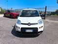 Fiat Panda 1.0 firefly hybrid City Life PREZZO REALE 5 POSTI Bianco - thumbnail 2
