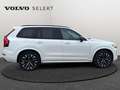 Volvo XC90 T8 AWD Ultra Dark / Hybride Білий - thumbnail 7