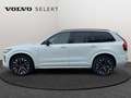 Volvo XC90 T8 AWD Ultra Dark / Hybride Білий - thumbnail 4