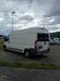 Fiat Ducato L4H2  voll farbereit - thumbnail 4