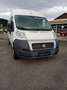 Fiat Ducato L4H2  voll farbereit - thumbnail 1