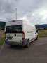 Fiat Ducato L4H2  voll farbereit - thumbnail 2