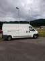Fiat Ducato L4H2  voll farbereit - thumbnail 3