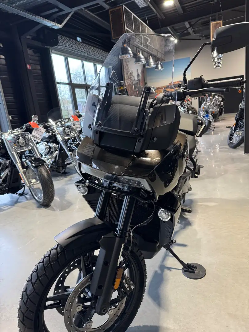 Harley-Davidson Pan America Braun - 2