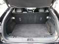 Ford Mustang Mach-E Basis Leder 360 Grad Kamera Noir - thumbnail 12