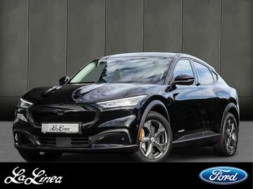 Basis Leder 360 Grad Kamera