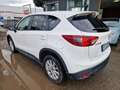 Mazda CX-5 2.2 Evolve 2wd 150cv my15 Bianco - thumbnail 3