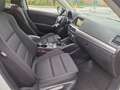 Mazda CX-5 2.2 Evolve 2wd 150cv my15 Bianco - thumbnail 15