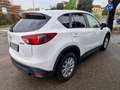 Mazda CX-5 2.2 Evolve 2wd 150cv my15 Bianco - thumbnail 4