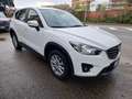 Mazda CX-5 2.2 Evolve 2wd 150cv my15 Bianco - thumbnail 1