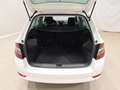 Skoda Fabia Combi 1.0 TSI Style LED|Klimaaut.|SHZ Weiß - thumbnail 13