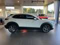 Mazda CX-30 2.0 Skyactiv-X Evolution 2WD 137kW Weiß - thumbnail 5