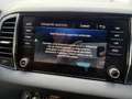 Skoda Karoq 1.5 TSi 150pk 4x4 DSG Scout Sportline Business CAM Grau - thumbnail 39