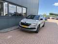 Skoda Karoq 1.5 TSi 150pk 4x4 DSG Scout Sportline Business CAM Grau - thumbnail 23