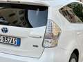 Toyota Prius+ 1.8 Hybrid e-CVT 7 Posti Lounge NAVI-RETROCAMERA White - thumbnail 7
