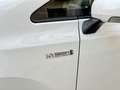 Toyota Prius+ 1.8 Hybrid e-CVT 7 Posti Lounge NAVI-RETROCAMERA Bílá - thumbnail 14