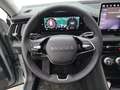 Skoda Kodiaq 2.0 TDI 142 kW 4x4 Selection ABT 7 Sitzer AHK N... Grau - thumbnail 5