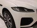 Jaguar F-Pace D300 AWD R-Dynamic SE 90TH Anniversary Edition AHK Weiß - thumbnail 23