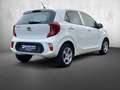 Kia Picanto Picanto 1.0 Edition 7 Klima 1. Hand TOP Weiß - thumbnail 6