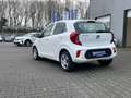 Kia Picanto Picanto 1.0 Edition 7 Klima 1. Hand TOP Weiß - thumbnail 8