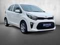 Kia Picanto Picanto 1.0 Edition 7 Klima 1. Hand TOP Weiß - thumbnail 4